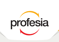 The Network – Profesia